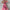 WW | Elegantes Langärmeliges Maxikleid mit Blumenmuster