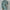 WW | teiliges sportliches Set - trendige Damen Sweatjacke mit Jogginghose