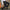 WW | Stretchhose Herren