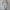 WW | teiliges sportliches Set - trendige Damen Sweatjacke mit Jogginghose