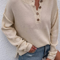 WW Solid Color Übergrößen V-Ausschnitt Pullover