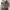 Damen Strickweste mit tiefem V-Ausschnitt und praktischen Taschen WW 1759203291