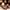 WW – Weiche Damenschuhe
