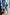 WW | Rosiedress Solide Langarm Blazer und Shorts Büro Set