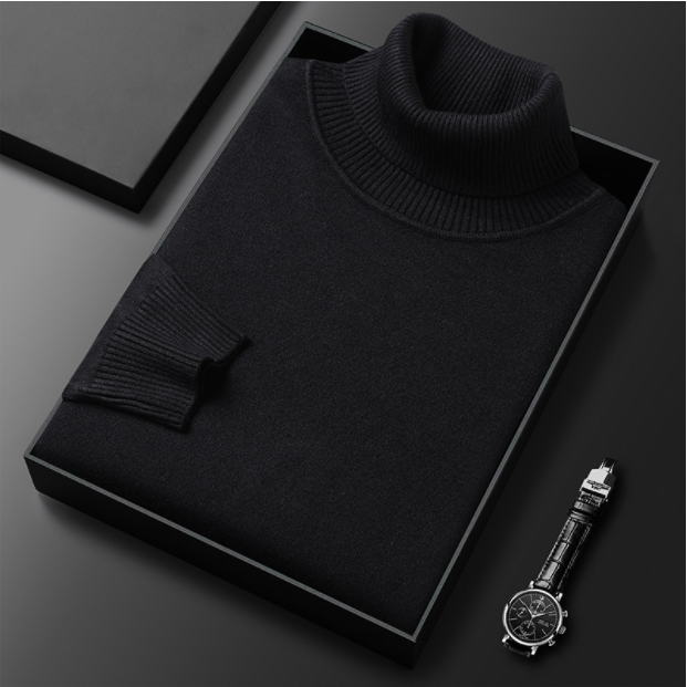 WW | Herren-Rollkragenpullover aus Feinstrick
