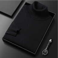 WW | Herren-Rollkragenpullover aus Feinstrick