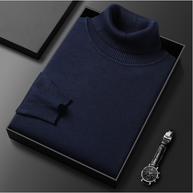 WW | Herren-Rollkragenpullover aus Feinstrick