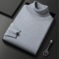 WW | Herren-Rollkragenpullover aus Feinstrick