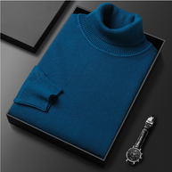 WW | Herren-Rollkragenpullover aus Feinstrick