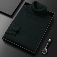 WW | Herren-Rollkragenpullover aus Feinstrick