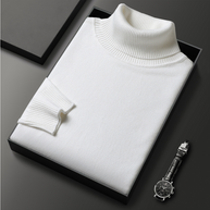 WW | Herren-Rollkragenpullover aus Feinstrick