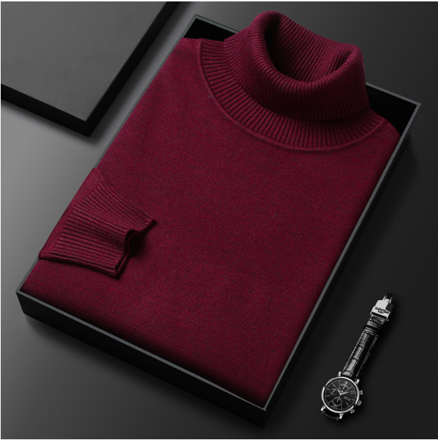 WW | Herren-Rollkragenpullover aus Feinstrick