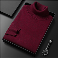 WW | Herren-Rollkragenpullover aus Feinstrick
