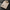 WW | Herren-Rollkragenpullover aus Feinstrick
