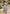 Elegantes buntes Kleid