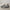 WW | Weinlese Herren Skateschuhe
