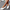 WW - Neue Freizeitschuhe für Frauen