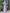 WW | Elegantes Frauen Muslimisch Islamisch Saati Grosgrain Einfarbig Maxi Kleid Mit Gürtel