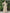 WW | Elegantes Frauen Muslimisch Islamisch Saati Grosgrain Einfarbig Maxi Kleid Mit Gürtel