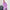 Damen bequemer Kapuzenpullover und Jogginghose WW