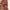 Damen Minimalistisches Triangel-Bikini-Set WW