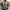 WW | Herren Bomberjacke