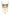 WW Badeanzug mit Patchwork-Muster und dekorativem Metalldekor im Farbblockdesign