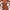 Damen Minimalistisches Triangel-Bikini-Set WW