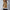 Damen Strickweste mit Stehkragen und Knopfdetails WW