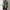 Doppelseitige Fleecejacke