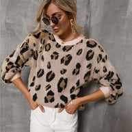 WW Große Größe Leopard Pullover