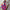 Damen Maxikleid mit frechem Cut-Out und dekorativem Ringelement WW