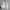 WW | Lederjacke - Everlasting Chic -Zeitlose Eleganz und Stil für Damen