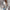 WW | Kontrastfarbige Strick Zip Leichtgewicht Hoodie