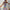 Damen Maxikleid mit frechem Cut-Out und dekorativem Ringelement WW