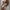 WW | Schwerindustrie Nähen Strap Lingerie Kit