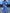 WW | Modernes Denimkleid