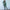 WW | Gemütliches Oversized-Sweatshirt und Leggings-Set