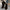 WW | Stylische Vegan Leder Stiefeletten