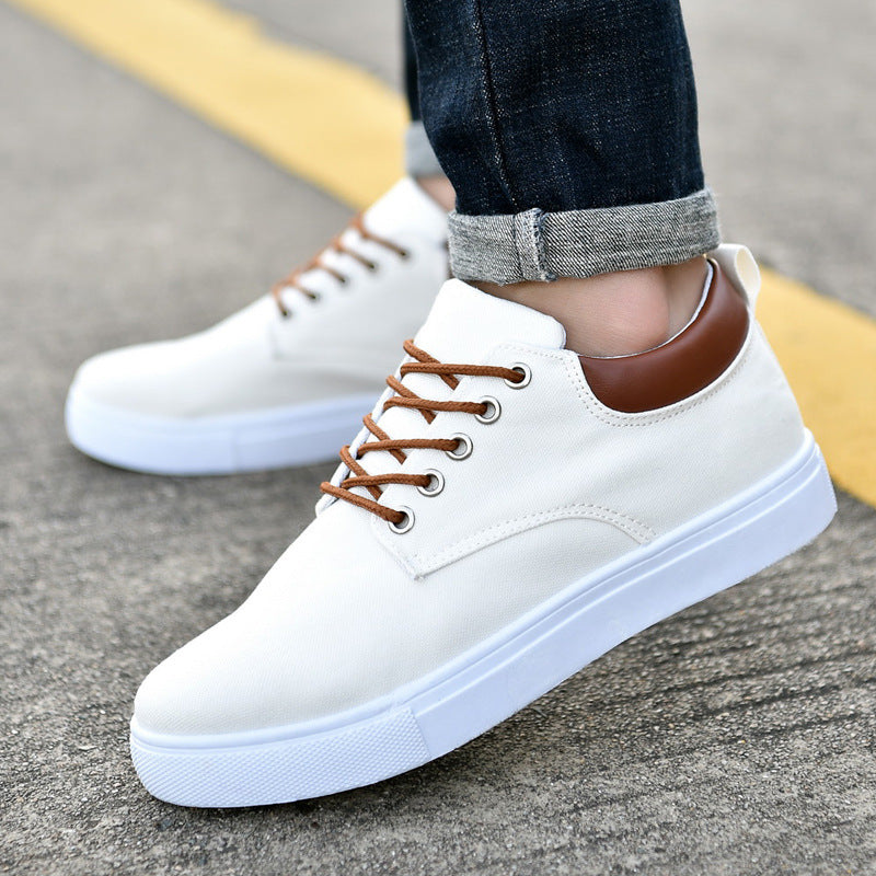 WW | Große Canvas Sneaker Für Herren