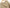 Damen Strickponcho mit Fransen und modernem Oversized-Schnitt WW