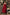 WW | Ärmelloses Midikleid Mit Korsett Passform