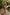WW | High Waist Colorblock Marine Cut Back Crop Bikini Set