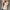 WW | Bequemer Trendiger Langer Blazer Für Den Herbst