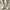 WW | Legere Herren Espadrilles