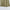 WW | Satin Maxikleid Elegante Drapierung