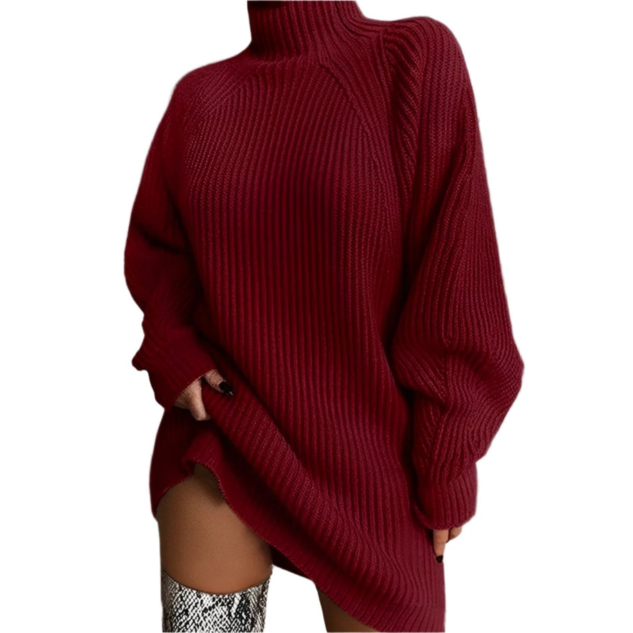 WW | Warmes Strickkleid Mit Rollkragen