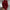 Pulloverkleid mit Polokragen