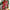 WW | Zeitloses Design Im Vintage-Stil