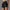 WW | Gym Sport Laufshorts Für Damen Mit Hoher Taille